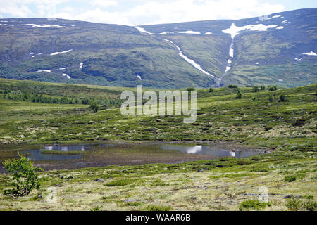 Lake in Dovre national park in Norway Stock Photo
