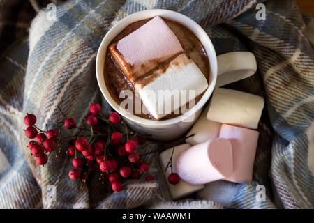 Lay-flat of Hot Chocolate, with a blue scarf and lots of marshmallows Stock Photo