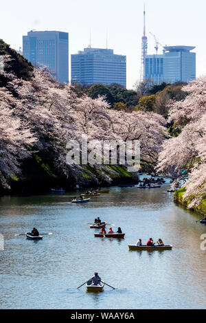 Japan, Honshu, Tokyo, Kudanshita, Chidori-ga-fuchi, Imperial Palace Moat , Cherry Blossom and People Boating with City Skyline in Rear, 30075415 Stock Photo