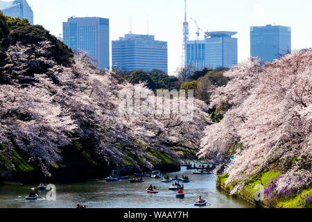 Japan, Honshu, Tokyo, Kudanshita, Chidori-ga-fuchi, Imperial Palace Moat , Cherry Blossom and People Boating with City Skyline in Rear, 30075417 Stock Photo