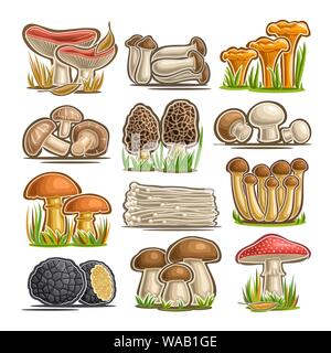 Vector set of eatable Mushrooms, 12 cut out assorted abstract raw fungus for healthy nutrition, collection of isolated various cartoon mushrooms for d Stock Vector