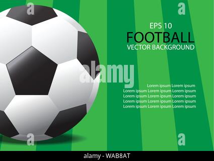 Vector realistic soccer ball on field grass Stock Vector