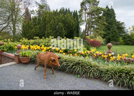 Area at the front of the house at Hergest Croft gardens in spring. Kington, England. Stock Photo