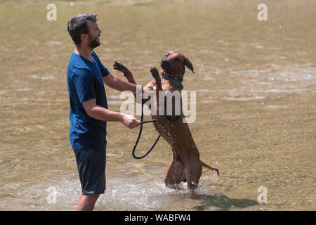 happy young man with his dog having fun swimming at river. Love animals love my pet Stock Photo