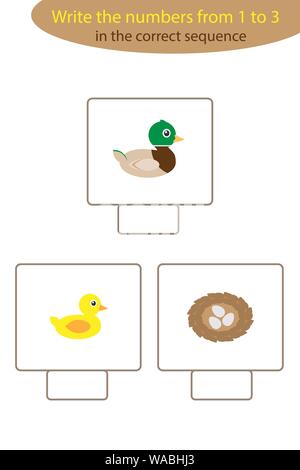 Visual game with duck life cycle for kids, educational task for the development of logical thinking, preschool worksheet activity, write numbers Stock Vector