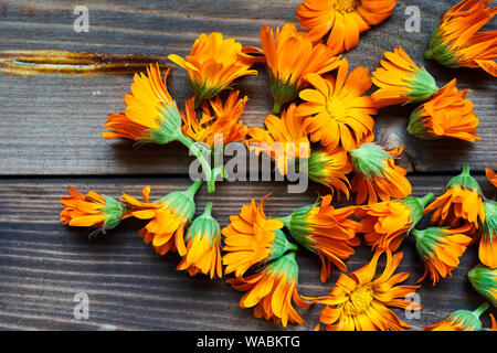 Calendula flowers laid out on a wooden background. Calendula officinalis medicinal plant petals - healthy concept. Stock Photo