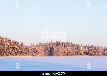 Winter forest island at forzen lake sunset Stock Photo