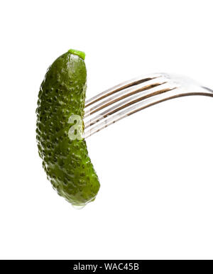 Pickled  cucumber sticking on a fork isolated on white Stock Photo