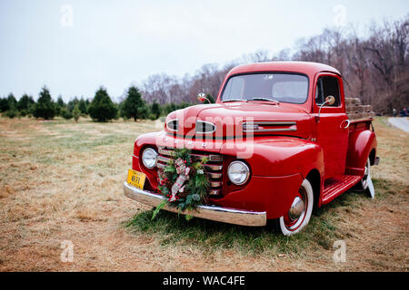 Scenes from Snicker's Gap Christmas Tree Farm near Washington, DC. Stock Photo