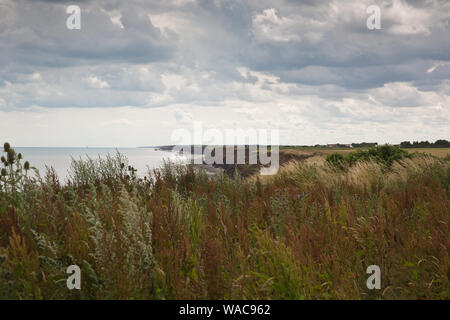 Mappleton Beach and cliffs East Riding of Yorkshire Stock Photo