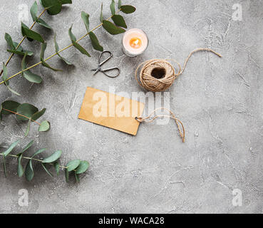Eucalyptus branches and leaves on a grey concrete background Stock Photo