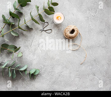 Eucalyptus branches and leaves on a grey concrete background Stock Photo