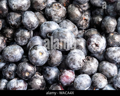 natural food background - fresh ripe blueberries close-up Stock Photo