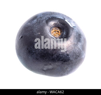 single fresh blueberry cutout on white background Stock Photo