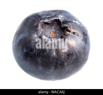 single fresh blueberry fruit cutout on white background Stock Photo
