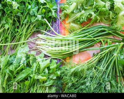 top view of various fresh kithen herbs prepared for cooking are drying on towel Stock Photo