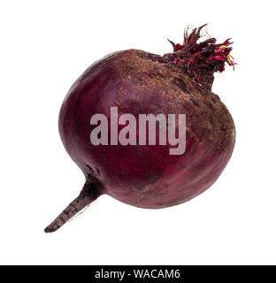 fresh organic garden beet root cutout on white background Stock Photo