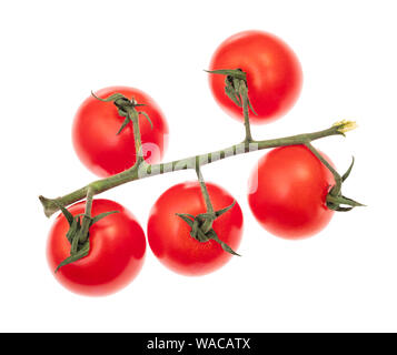twig of ripe red Cherry tomatoes cutout on white background Stock Photo