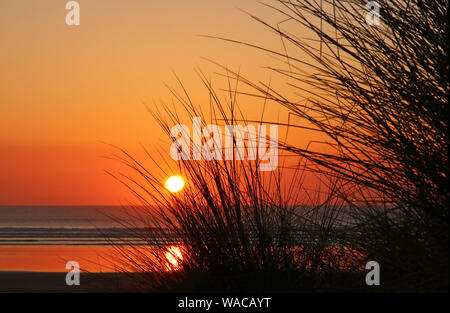 Stunning sunset on a sandy beach with soft Marram grass blowing in the foreground Stock Photo