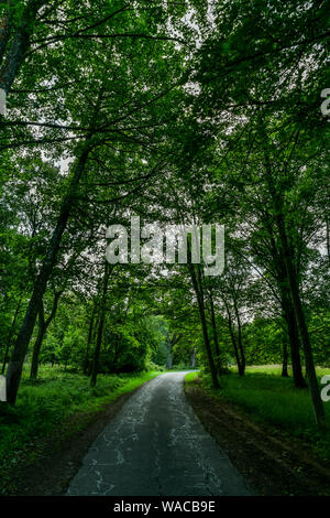 Blenheim Palace. The Beautiful parks and grounds of the Blenheim Palace estate. British countryside. Woodstock, Oxfordshire, England, United Kingdom. Stock Photo