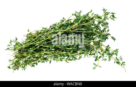 bundle of fresh thyme herb cutout on white background Stock Photo