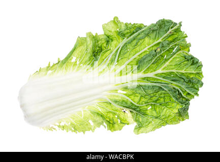 single leaf of fresh green Napa cabbage cutout on white background Stock Photo