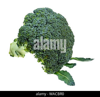 fresh green Broccoli with leaves cutout on white background Stock Photo
