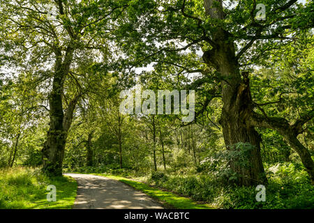 Blenheim Palace. The Beautiful parks and grounds of the Blenheim Palace estate. British countryside. Woodstock, Oxfordshire, England, United Kingdom. Stock Photo