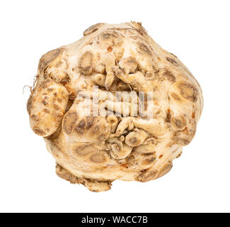 root of fresh organic celeriac (celery root) cutout on white background Stock Photo