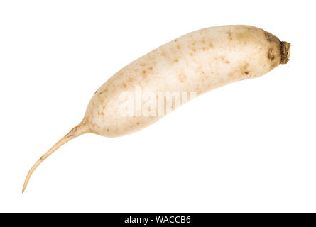 fresh Daikon long white radish cutout on white background Stock Photo
