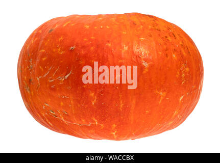 side view of ripe orange pumpkin cutout on white background Stock Photo