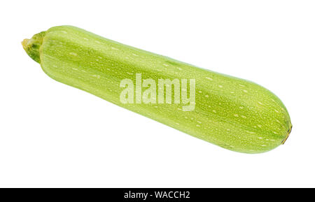 ripe vegetable marrow squash cutout on white background Stock Photo