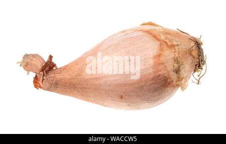 unpeeled fresh shallot cutout on white background Stock Photo