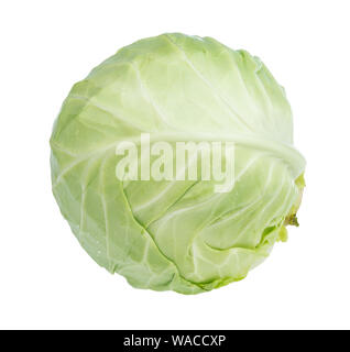 head of fresh white cabbage cutout on white background Stock Photo