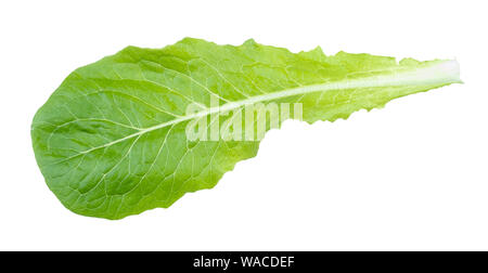green leaf of Romaine lettuce cutout on white background Stock Photo