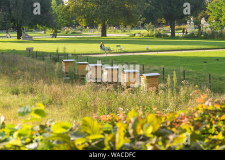 Paris beehives - Six beehives owned by the Louvre Museum and supported by NUXE, installed in the Tuileries garden in Paris, France, Europe. Stock Photo