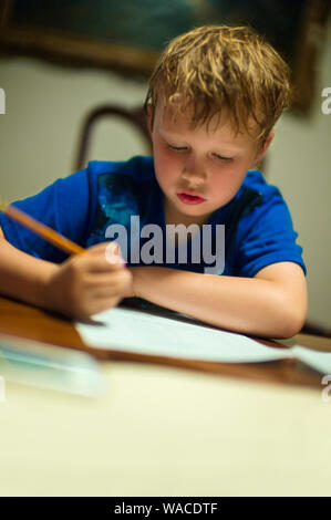 Focused young boy working on homework. Stock Photo