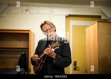 Focused middle aged man playing a mandolin. Stock Photo