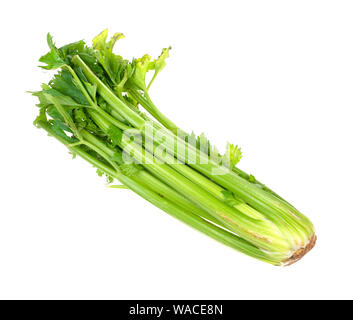 fresh green celery stalk cutout on white background Stock Photo