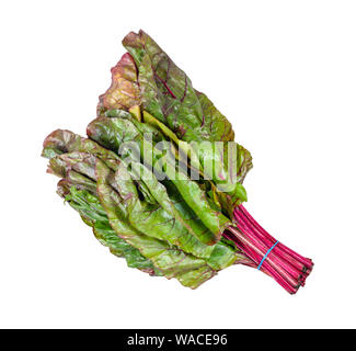 bundle of wet beet green leaves ( chard) cutout on white backgrounds Stock Photo