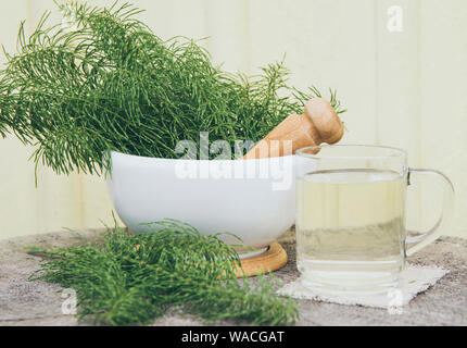 Bunch of herbal plant Equisetum arvense the field horsetail or common horsetail in white mortar and tea infusion next to it, yellow background. Stock Photo