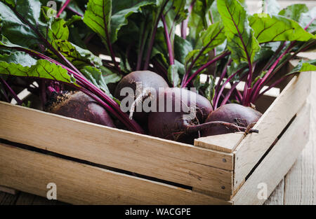 Fresh organic homegrown beetroots  in wooden crate, vegan  plant based food, close up, selective focus Stock Photo