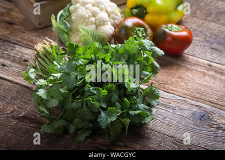 Fresh organic homegrown cilantro herbs on wooden table, vegan meal, plant based food, close up, selective focus Stock Photo