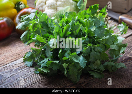 Fresh organic homegrown cilantro herbs on wooden table, vegan meal, plant based food, close up, selective focus Stock Photo