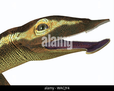 Atopodentatus was a herbivorous semi-aquatic marine reptile that lived in Triassic Seas of China. Stock Photo