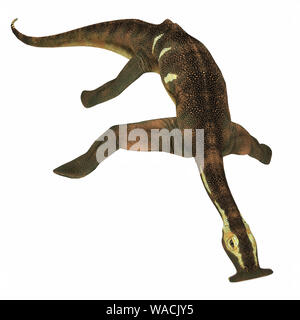 Atopodentatus was a herbivorous semi-aquatic marine reptile that lived in Triassic Seas of China. Stock Photo