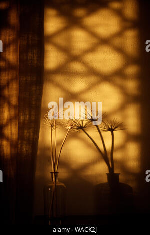 Bottle with dry stalks of plants on the background of the wall with the shadow of the window with a lattice Stock Photo