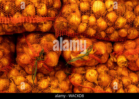 5 kg farm onions in a red pp mesh bag. Polypropylene net sack with 11 lb of  organic onions on a brown floor indoors. Buying fresh vegetables in bulk  Stock Photo - Alamy