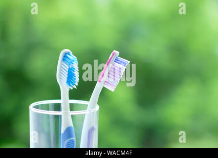 Two white plastic toothbrushes in a glass beaker. On a green blurred background. Stock Photo