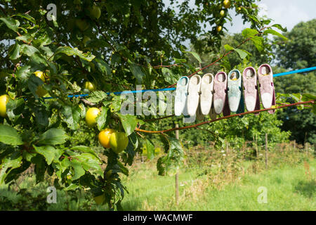 Old clothes Pegs on a washing line in an Orchard, Somerset, England, UK. Stock Photo